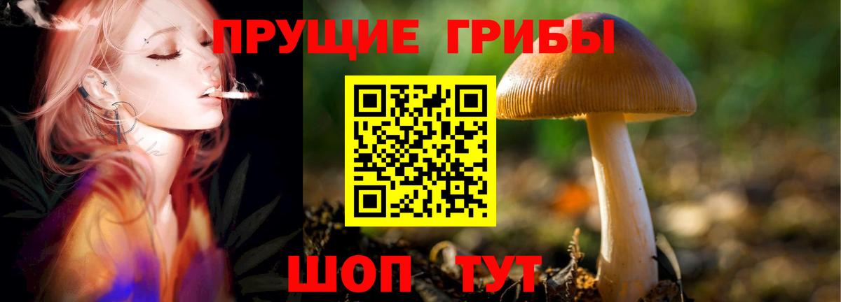 Псилоцибиновые грибы Psilocybine cubensis  Вход с VPN  купить наркотики сайты  Лангепас  Галлюциногенные грибы Cubensis 